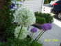 100_4573~0.JPG